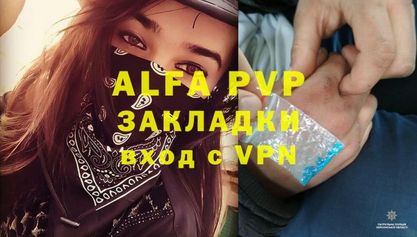 молекула духа Алексин