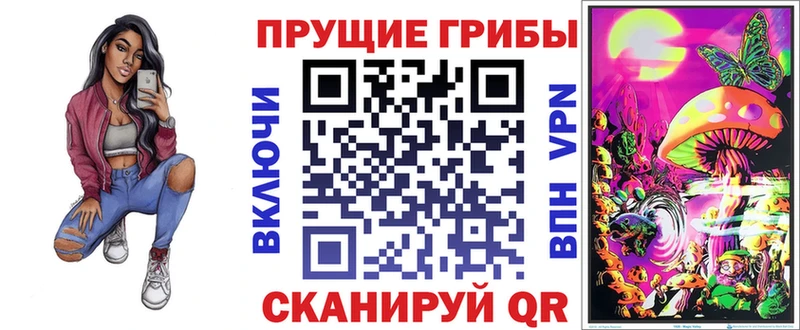 Псилоцибиновые грибы прущие грибы  купить закладку  Оленегорск 